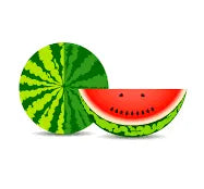 Watermelon E-Liquid buy online in Switzerland – Fantasi