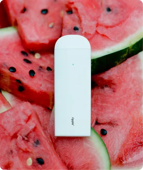 Ripple+ FREE watermelon aroma | Zero Nicotine Diffuser buy online in Switzerland Fantasi Ripple+ FREE watermelon aroma | Zero Nicotine Diffuser buy online in Switzerland Fantasi