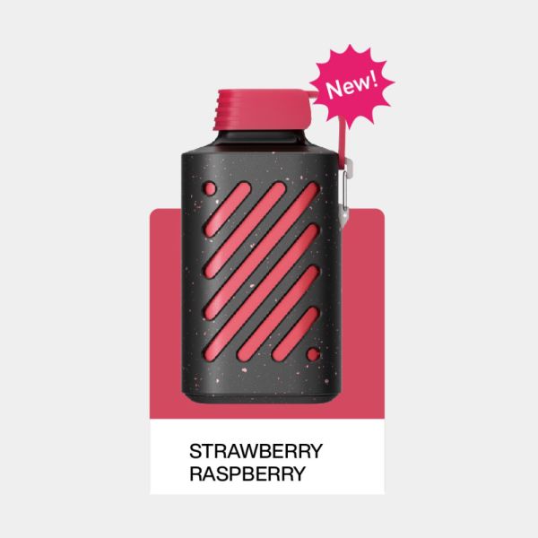 Strawberry Raspberry 20mg Vozol Gear 10000, Einweg Disposable